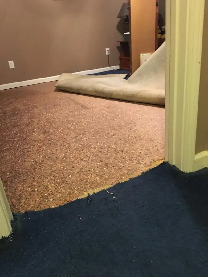Carpet pad removal revealing water damage during Drying & Dehumidification in Haysville